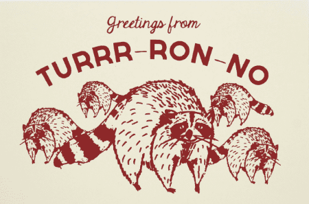 Turr-Ron-No Raccoon