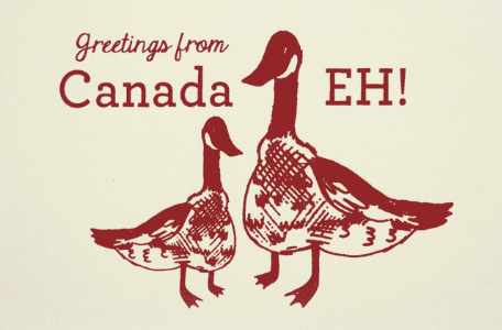 Canada Eh (Goose)